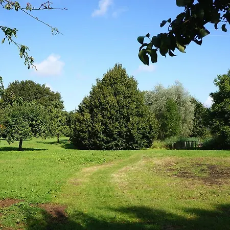 Lejlighed Haumannshof *