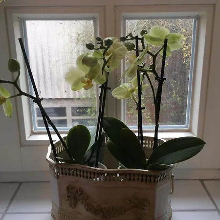 Apartamento Haumannshof Xanten