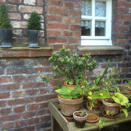 Апартаменты Haumannshof