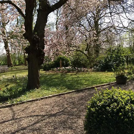 Апартаменты Haumannshof *