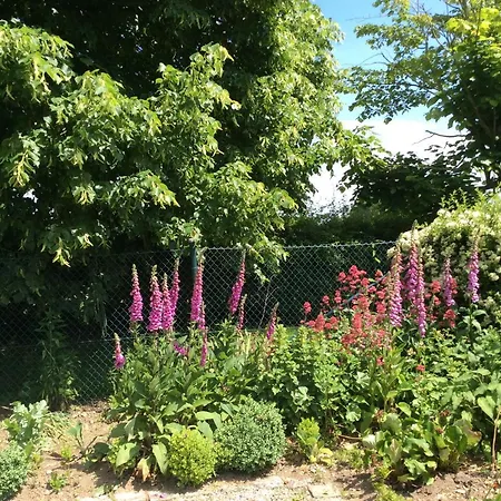 Lejlighed Haumannshof *