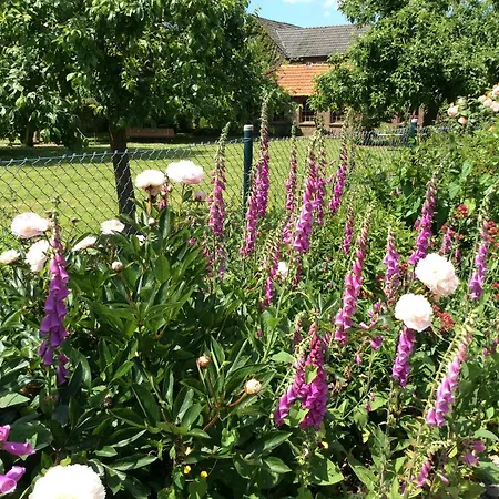 Haumannshof Ксантен