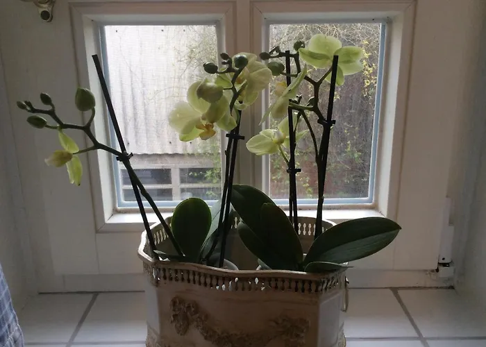 Apartman Haumannshof Xanten