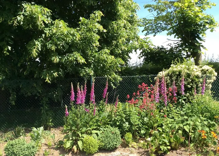 Apartman Haumannshof *